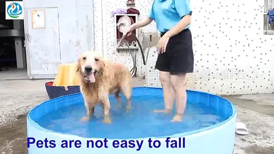 제조 업체 가격 스테인레스 스틸 애완 동물 밟아 풀 판매