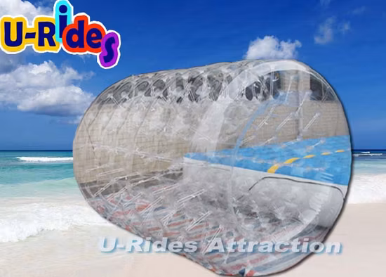 호수에 다채로운 풍선 물 롤러 공